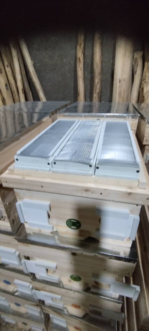 کندو پرورش ملکه سه جهته