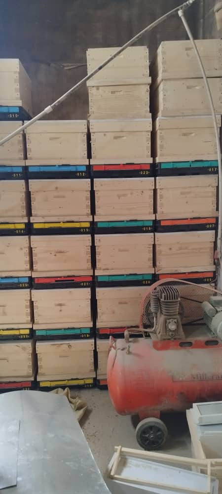 کندو بدنه سه سانتی با کفی شریفی